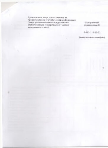 Отчеты по госзакупкам